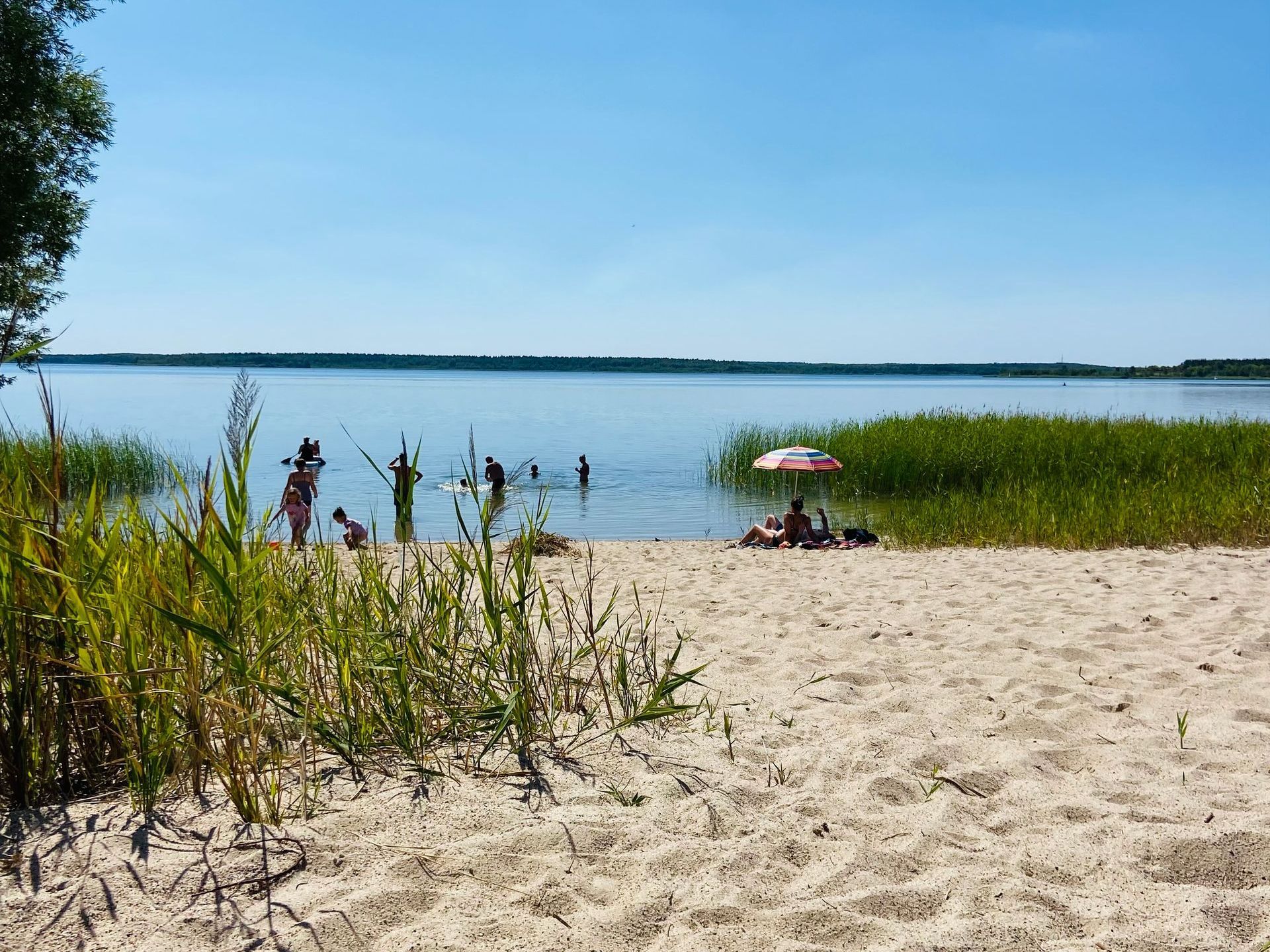flach abfallender Traum-Strand und klares Wasser ... ein Goitzschetraum