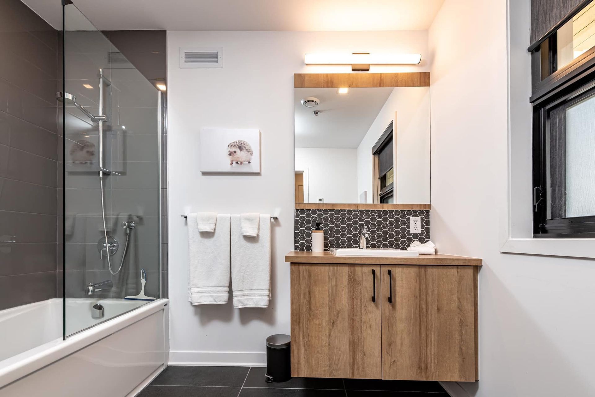 Une salle de bain avec un lavabo, une baignoire et un miroir.