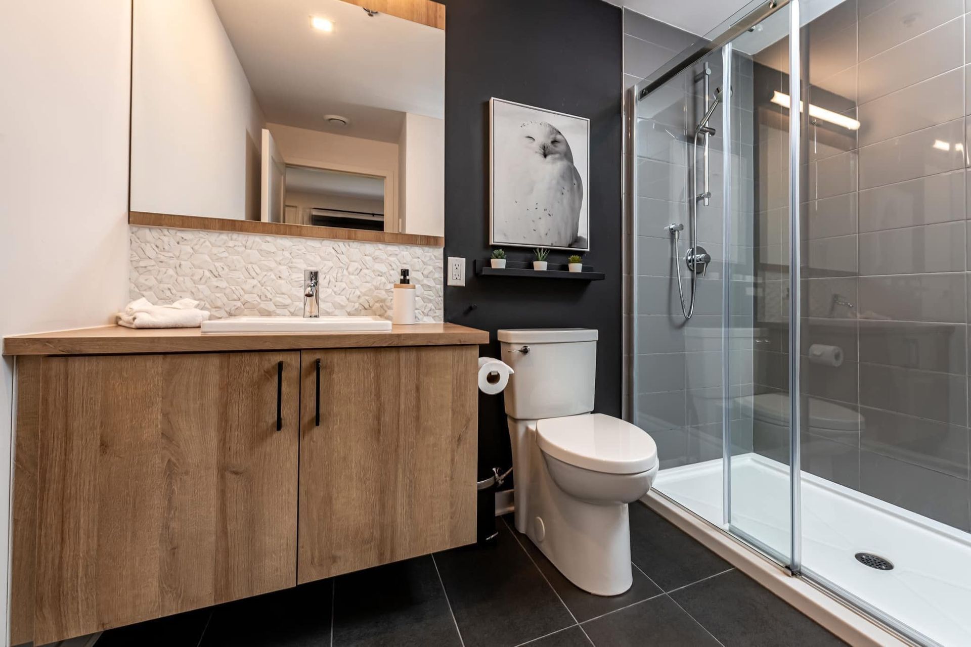 Une salle de bain avec WC, lavabo et douche.