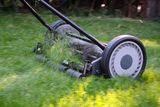 Grass cutting - St Leonards, Dorset - Alpine Garden Services - Grass