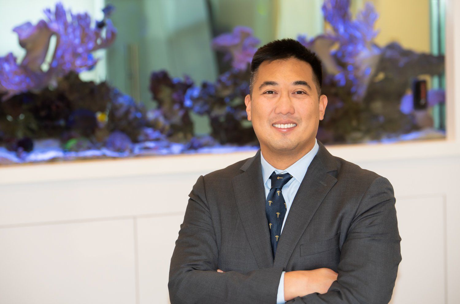 cosmetic surgery procedures