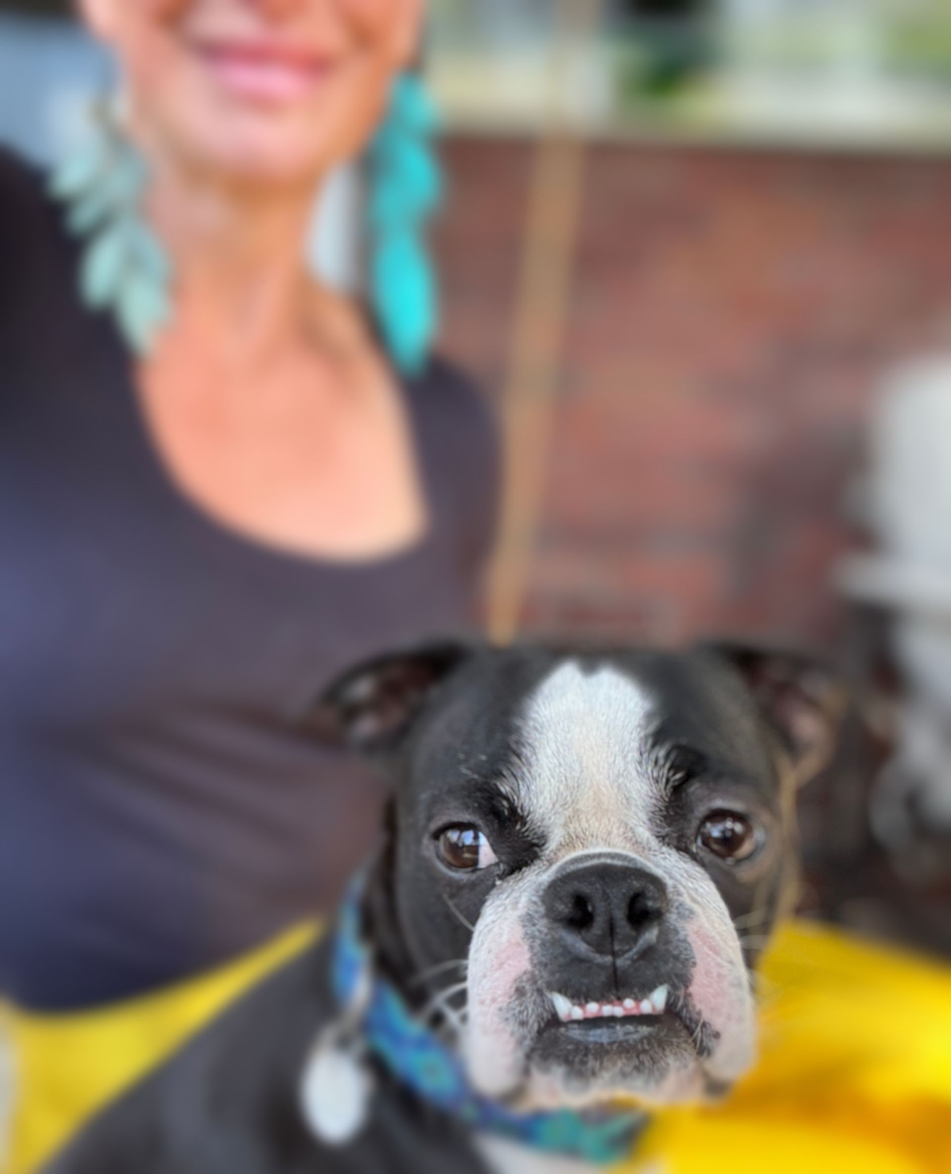 A woman is sitting next to a black and white dog