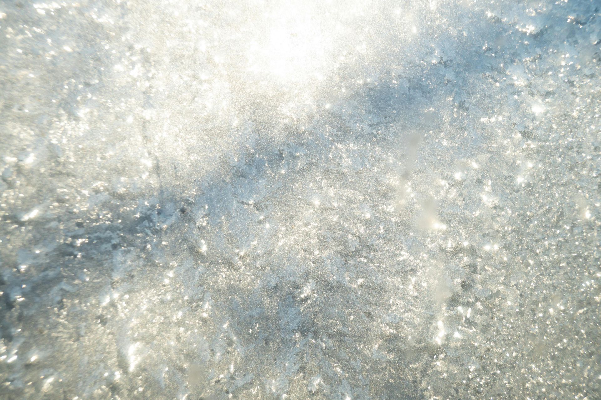 A close up of a snowy surface with the sun shining through it.