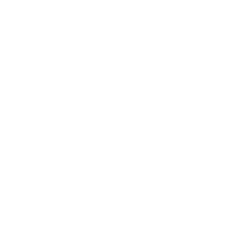 Astonishing Designs Logo