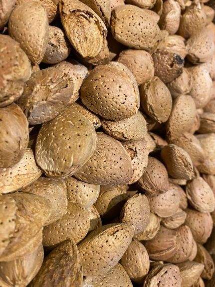ALMENDRA C/ CASCARA X 1/2 KILO