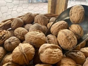 NUECES HOWARD X 1 KILO