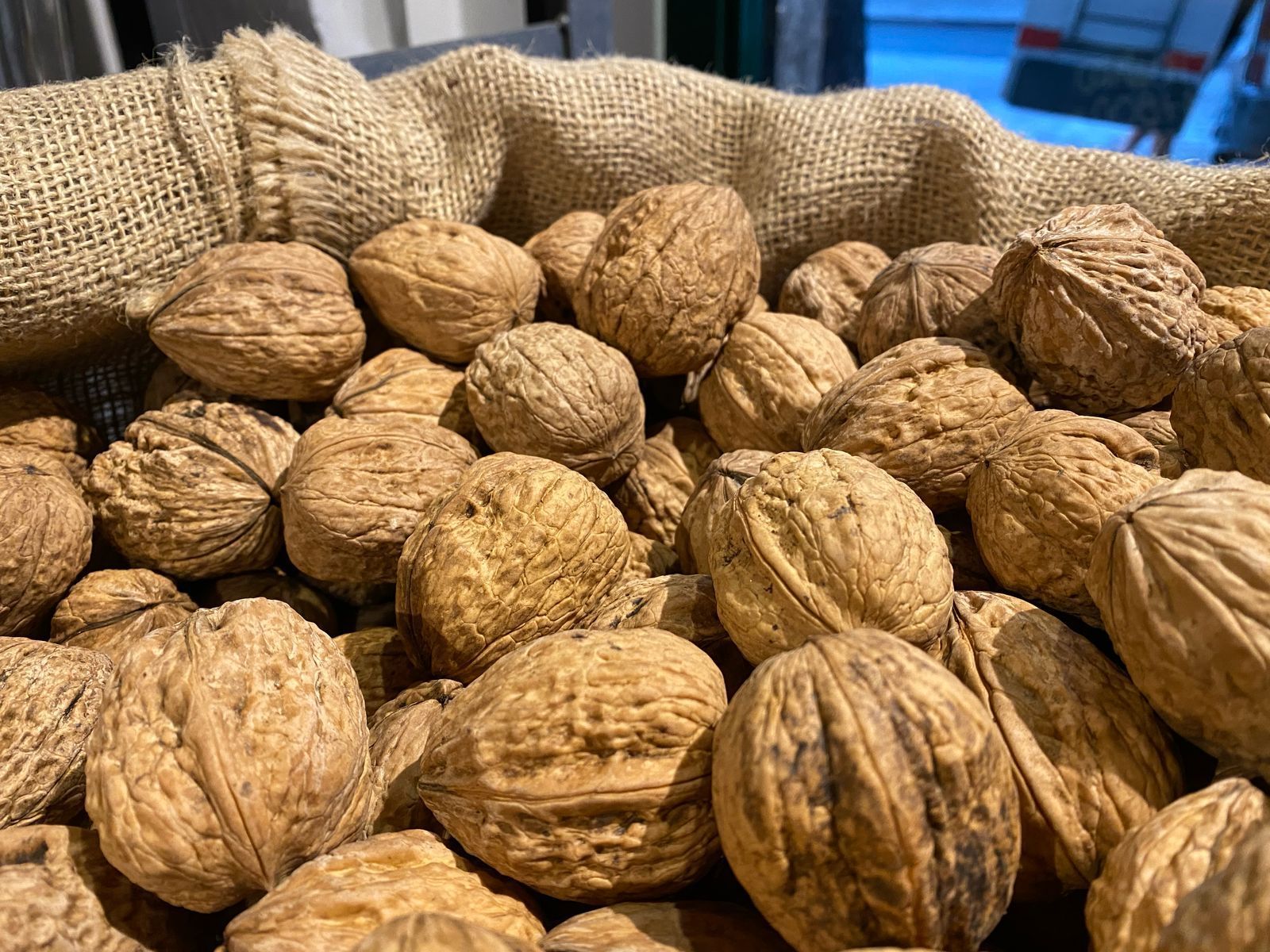 NUECES WILSON GIGANTE x 1 KILO