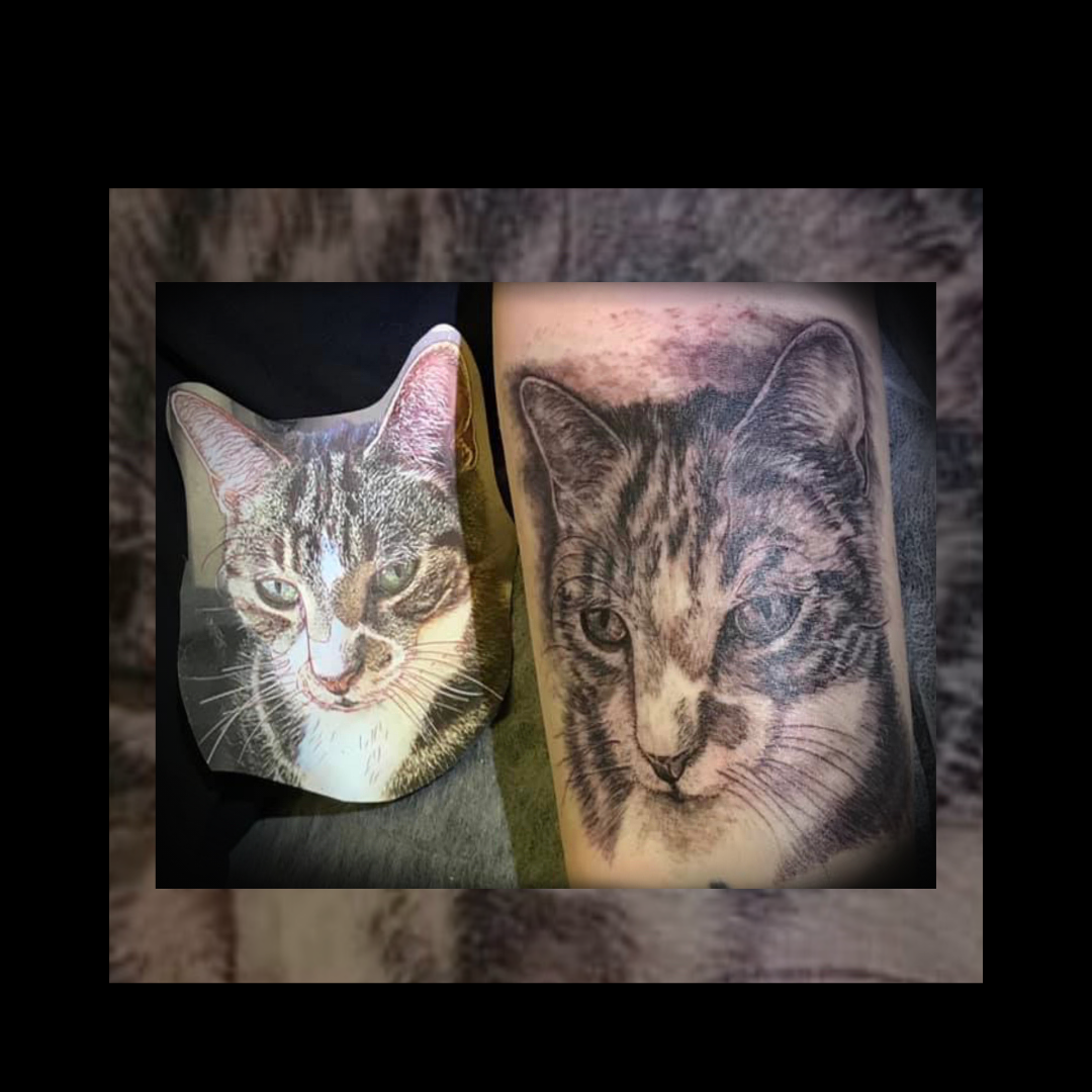 realistic cat tattoo