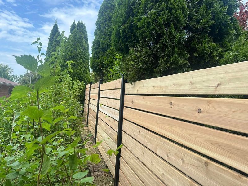 Wooden fence beside leafy greenery and tall trees under a blue sky