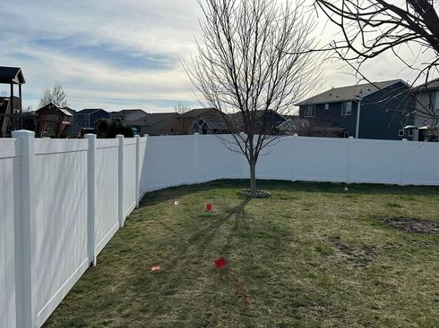 Backyard with white fence, leafless tree, and small red markers on patchy grass