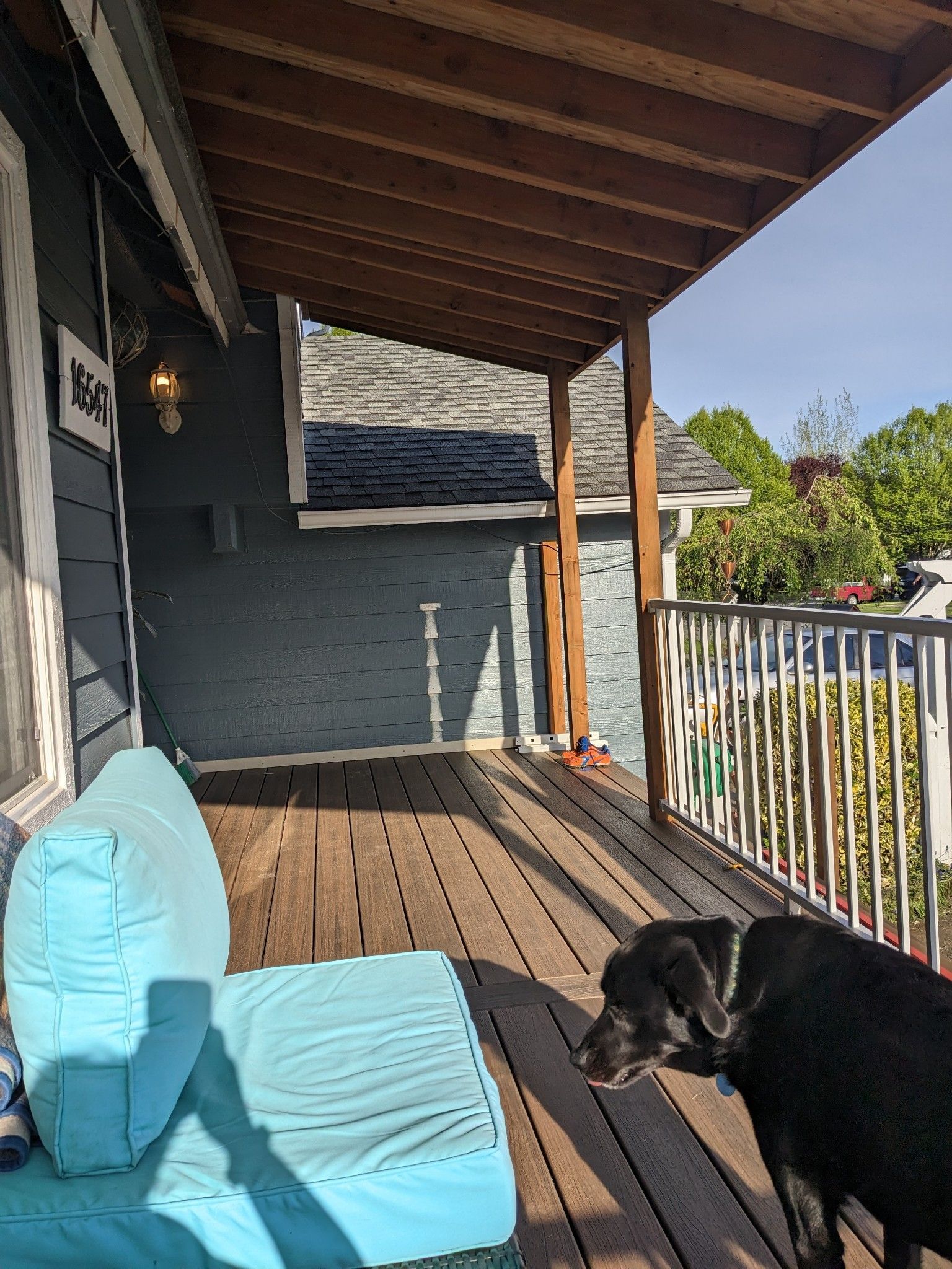 Covered porch with blue cushions and a black dog lying on the wooden floor.