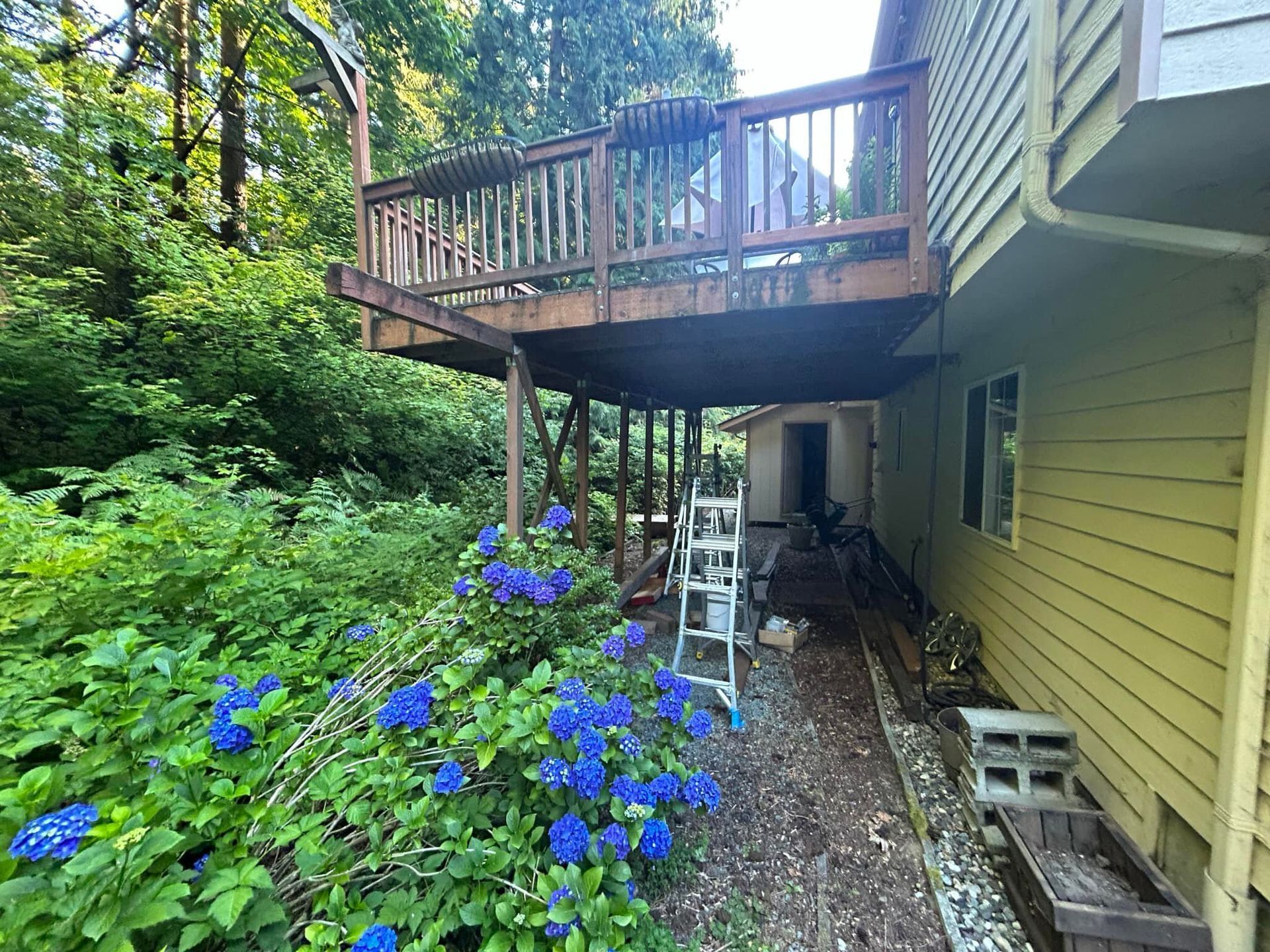 Wooden deck over a narrow side yard with blue flowers, greenery, and a ladder beside a yellow house