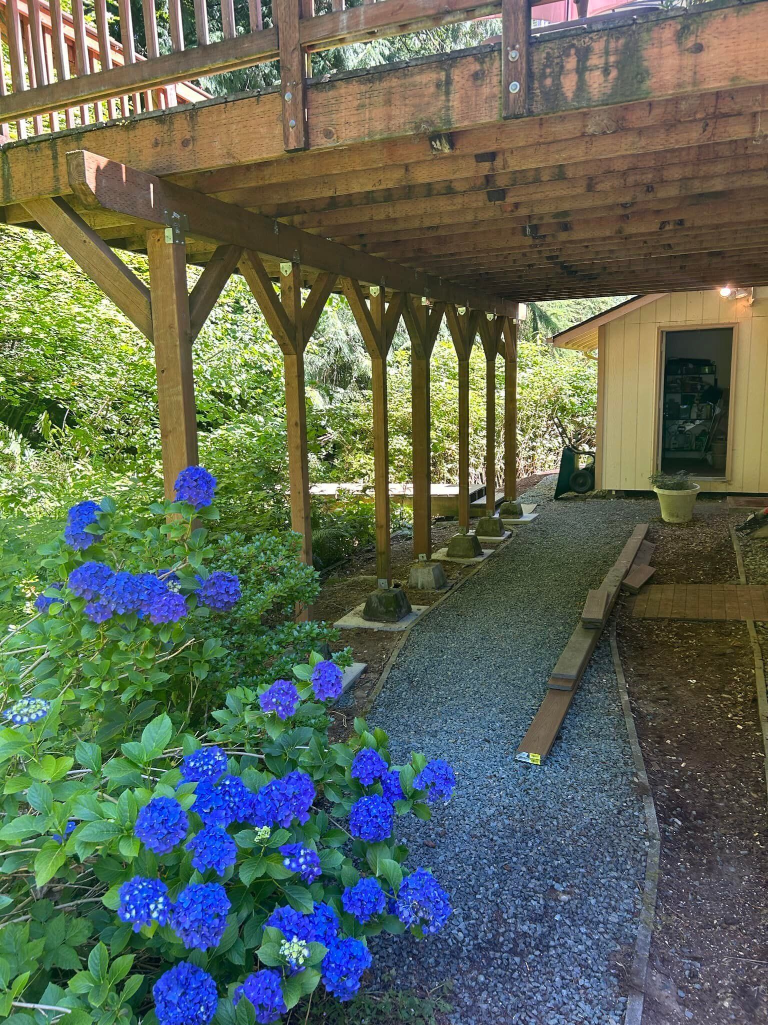 Wooden deck with stairs and gravel path beside a house, framed by blue hydrangeas and trees