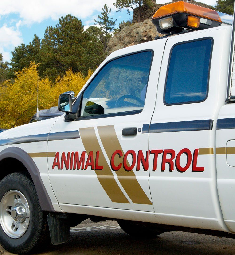 Animal Control Truck — Stockton, CA — Diamond Truck Body Manufacturing Inc.