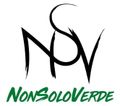 logo non solo verde