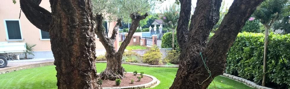 Realizzazione giardini Cittadella