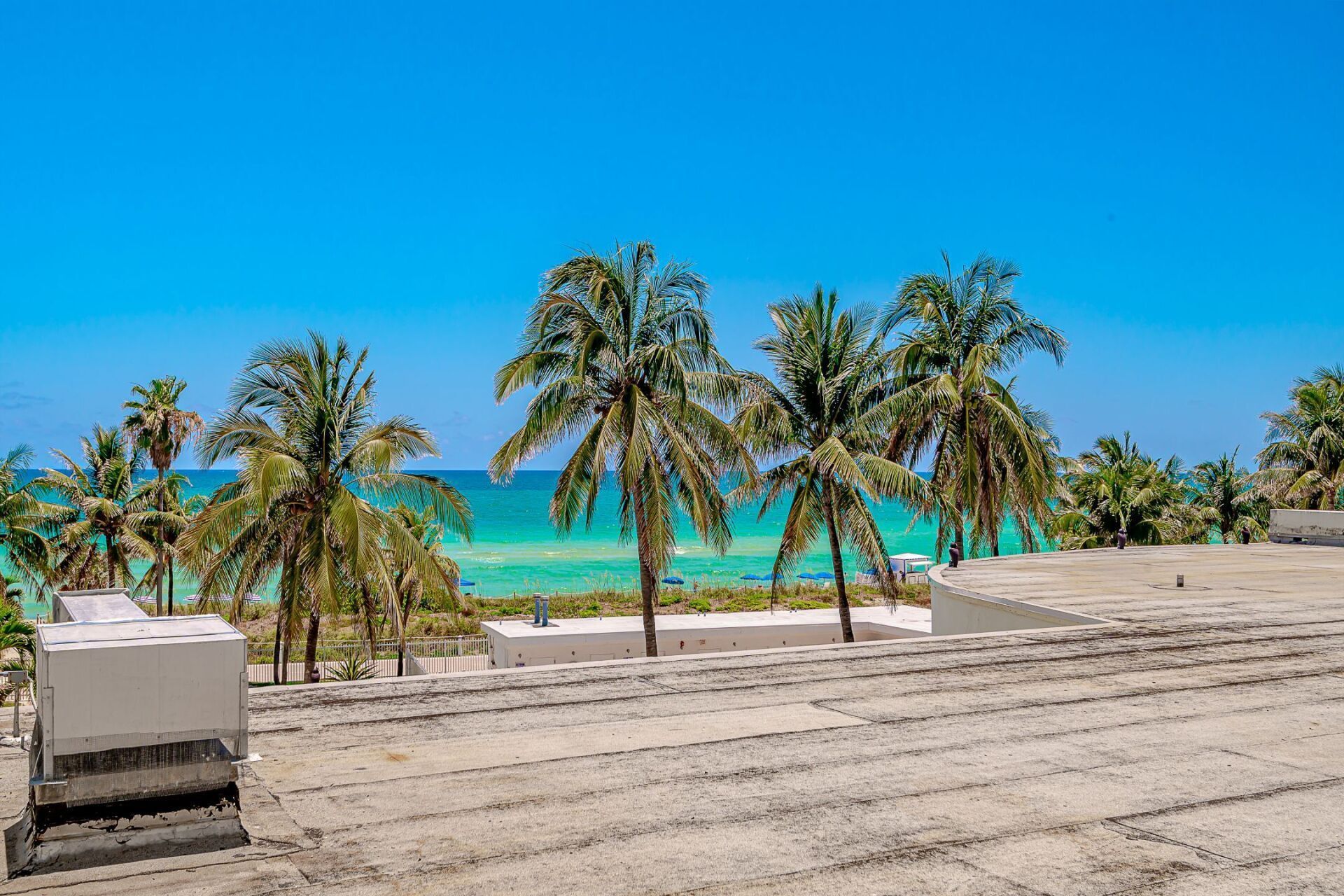 A view of the ocean from a rooftop with palm trees in the foreground.