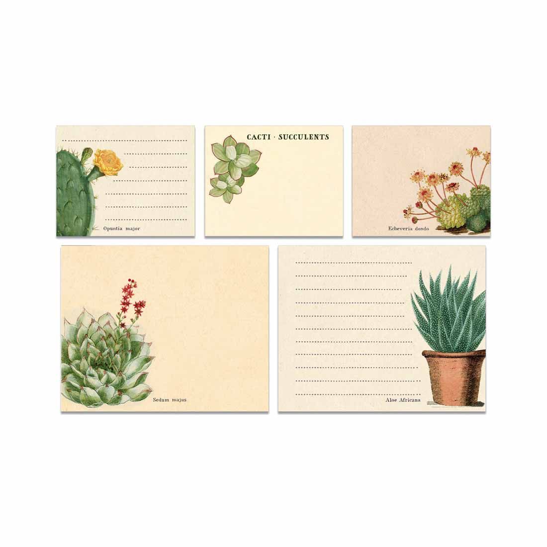 Notas Adhesivas Cacti & Succulents