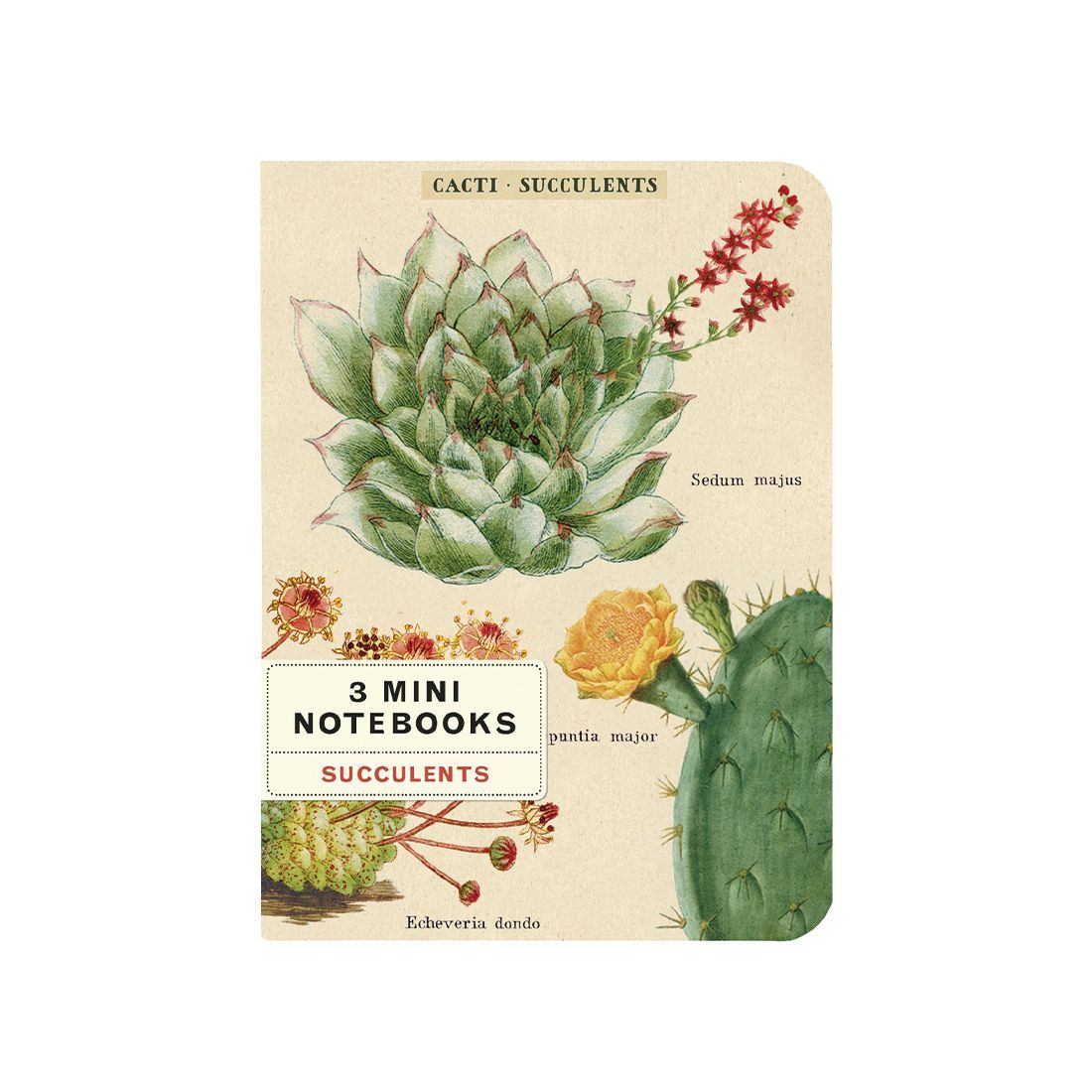 Mini Cuaderno Cacti & Succulents (10X14cm)