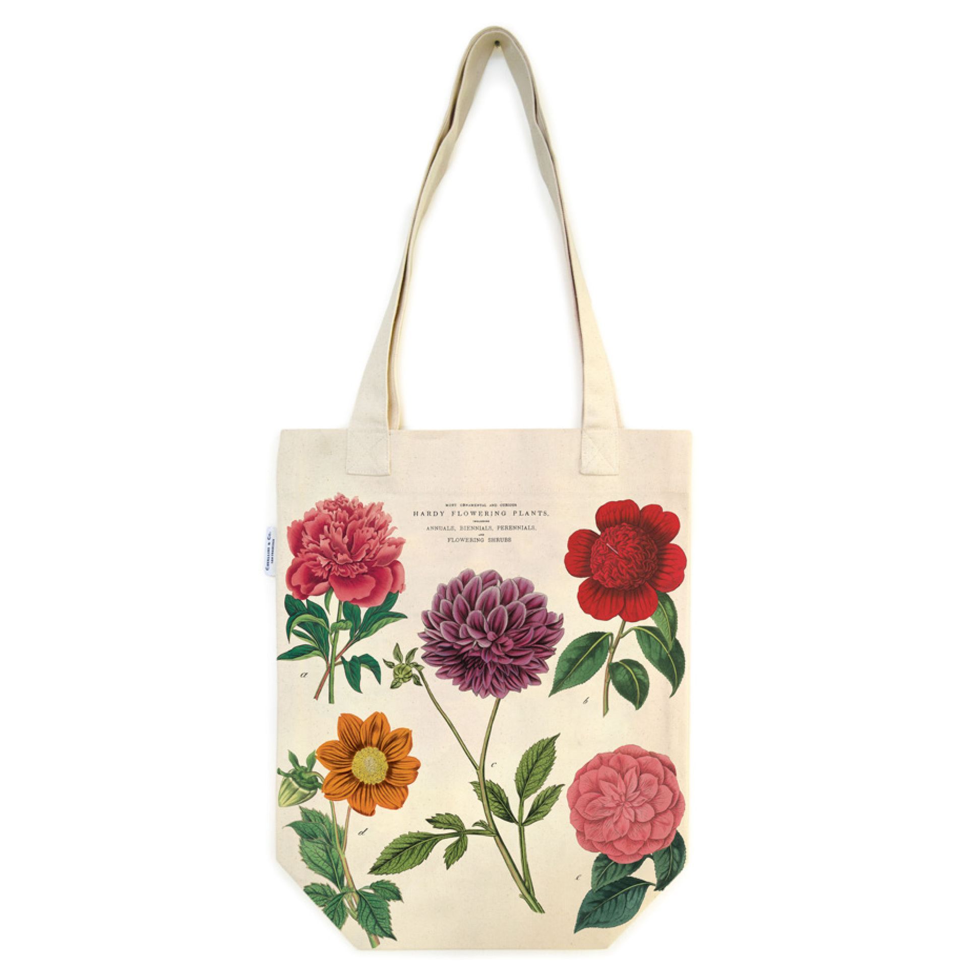 Tote Bag Botânica (33X40.5cm)