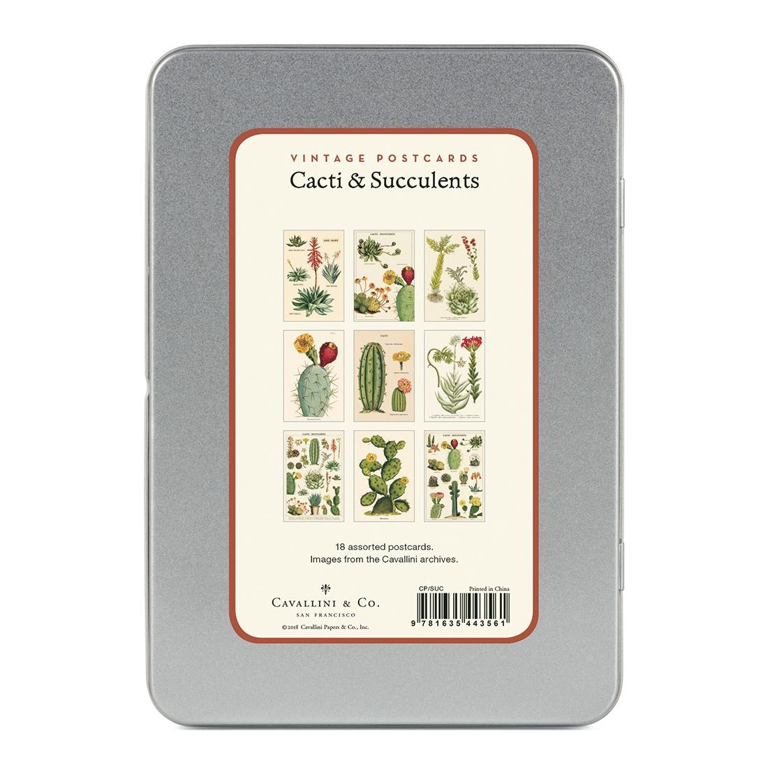 Postales Vintage Cacti & Succulents (9.5X14cm)