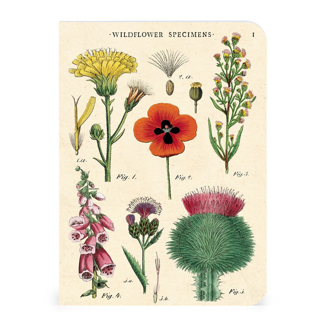 Mini Cuaderno Wildflowers (10X14cm)