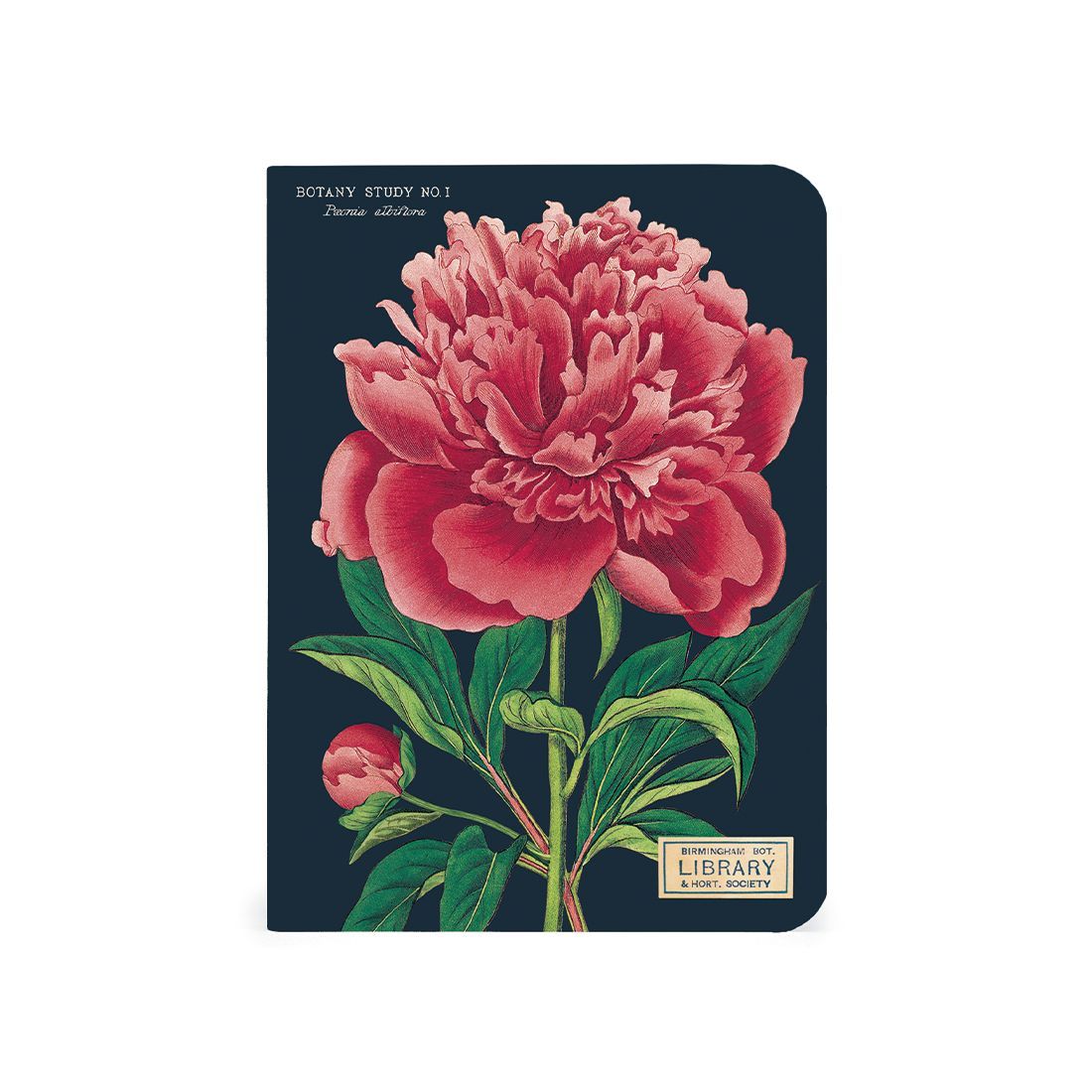 Mini Cuaderno Botany (10X14cm)