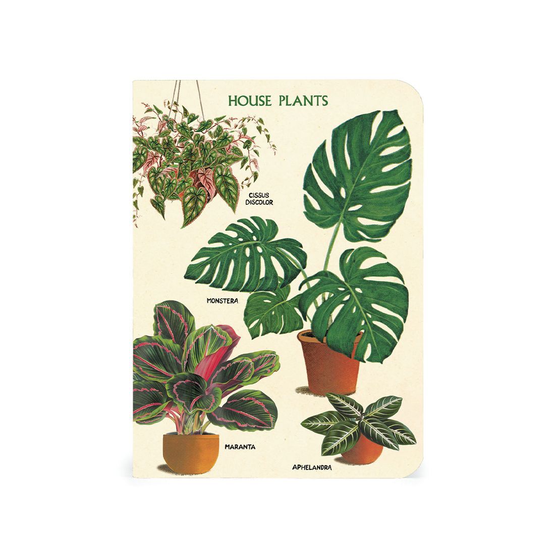 Mini Cuaderno House Plants (10X14cm)