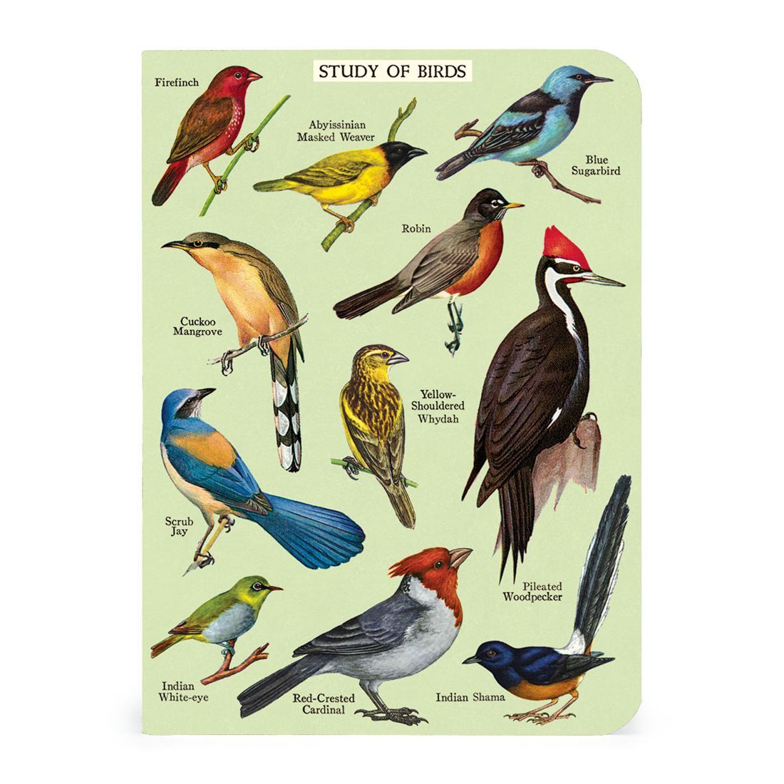 Mini Cuaderno Bird Watching (10X14cm)