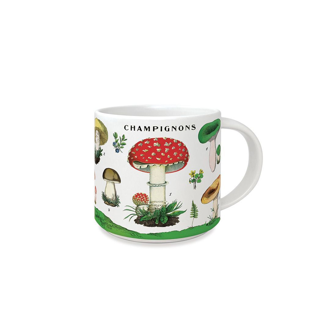 Taza Vintage Mushrooms
