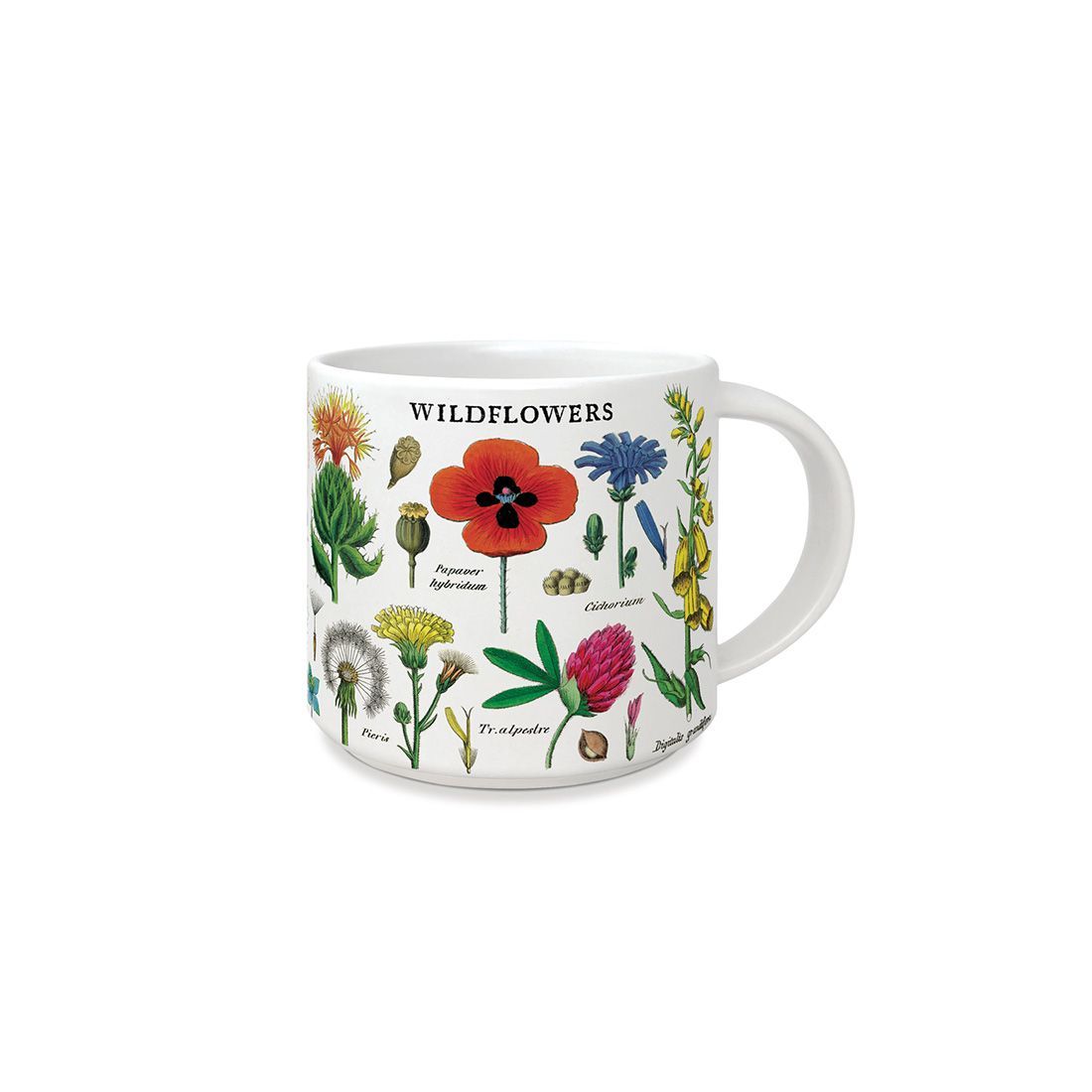 Taza Vintage Wildflowers