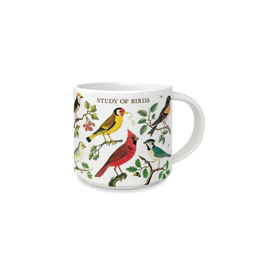 Taza Vintage Birds