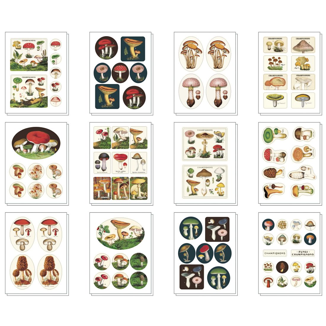Pegatinas Mushrooms (13X12cm)