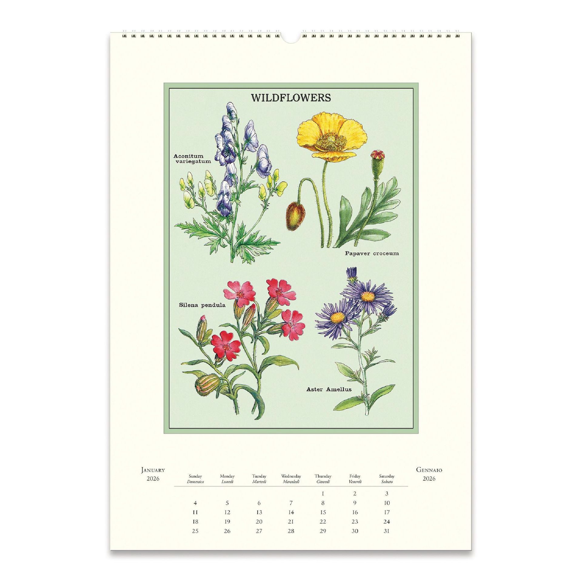 Calendário de Pared Cavallini Wildflowers 2026