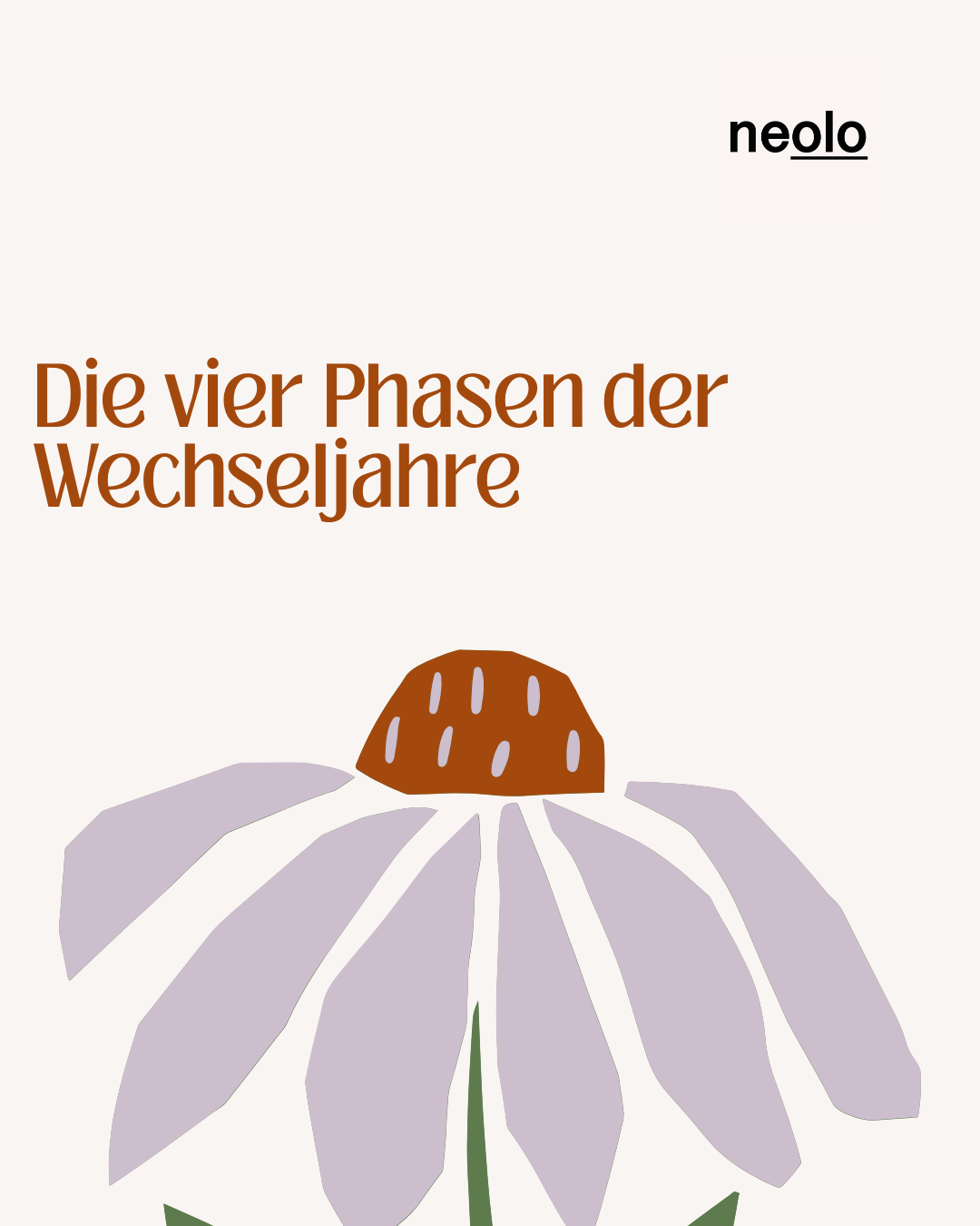 Die 4 Phasen der Wechseljahre einfach erklärt
