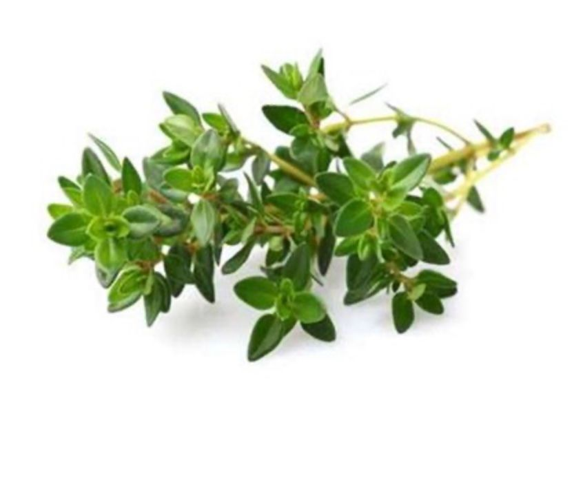 NEOLO Intimöl, Intimpflege, trockene Scheide, Scheidentrockenheit, Scheidenatrophie, Scheidenpilz, Scheideninfekt, bakterielle vaginose, Gardnerella, Lichen Sclerosus, Juckreiz, Brennen, Harnwegsentzündung, Reizblase, Blasenentzündung, Dammmassage, Menstruationsbeschwerden, Dammöl