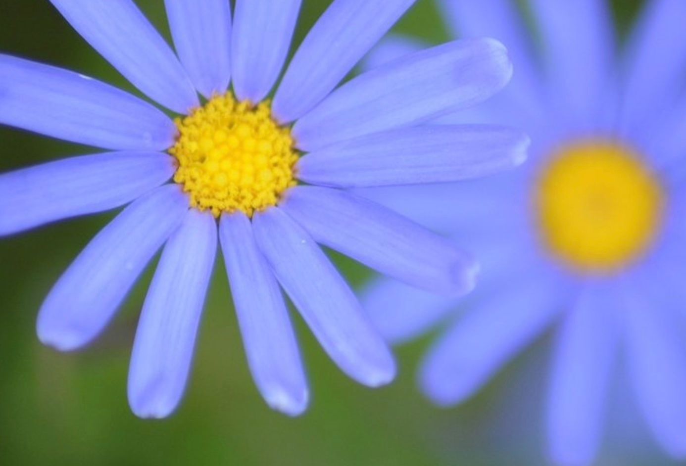 NEOLO olio di cura intima, olio vaginale, secchezza vaginale, atrofia vaginale, vagina secca
menopausa, prurito, bruciore, dolore zona intima