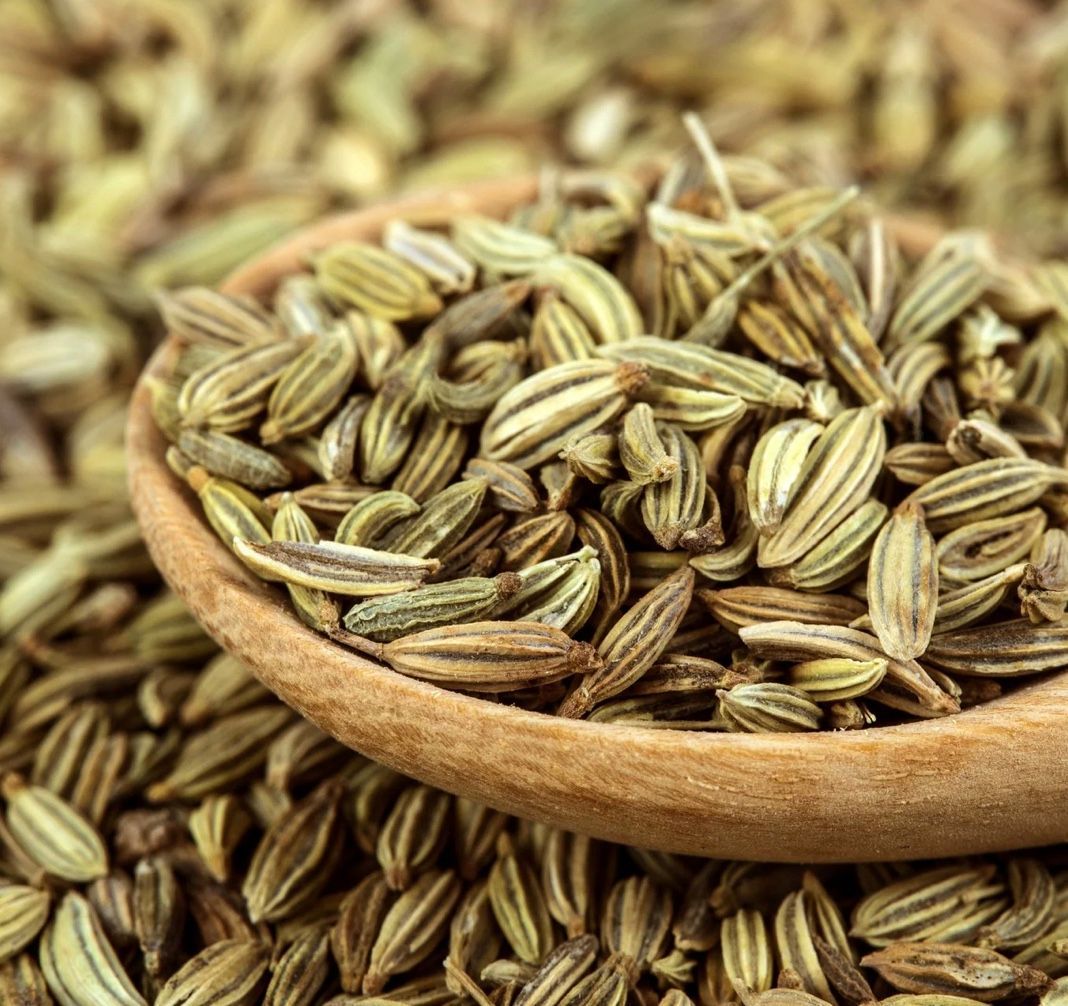 NEOLO Intimöl, Intimpflege, trockene Scheide, Scheidentrockenheit, Scheidenatrophie, Scheidenpilz, Scheideninfekt, bakterielle vaginose, Gardnerella, Lichen Sclerosus, Juckreiz, Brennen, Harnwegsentzündung, Reizblase, Blasenentzündung, Dammmassage, Menstruationsbeschwerden, Dammöl