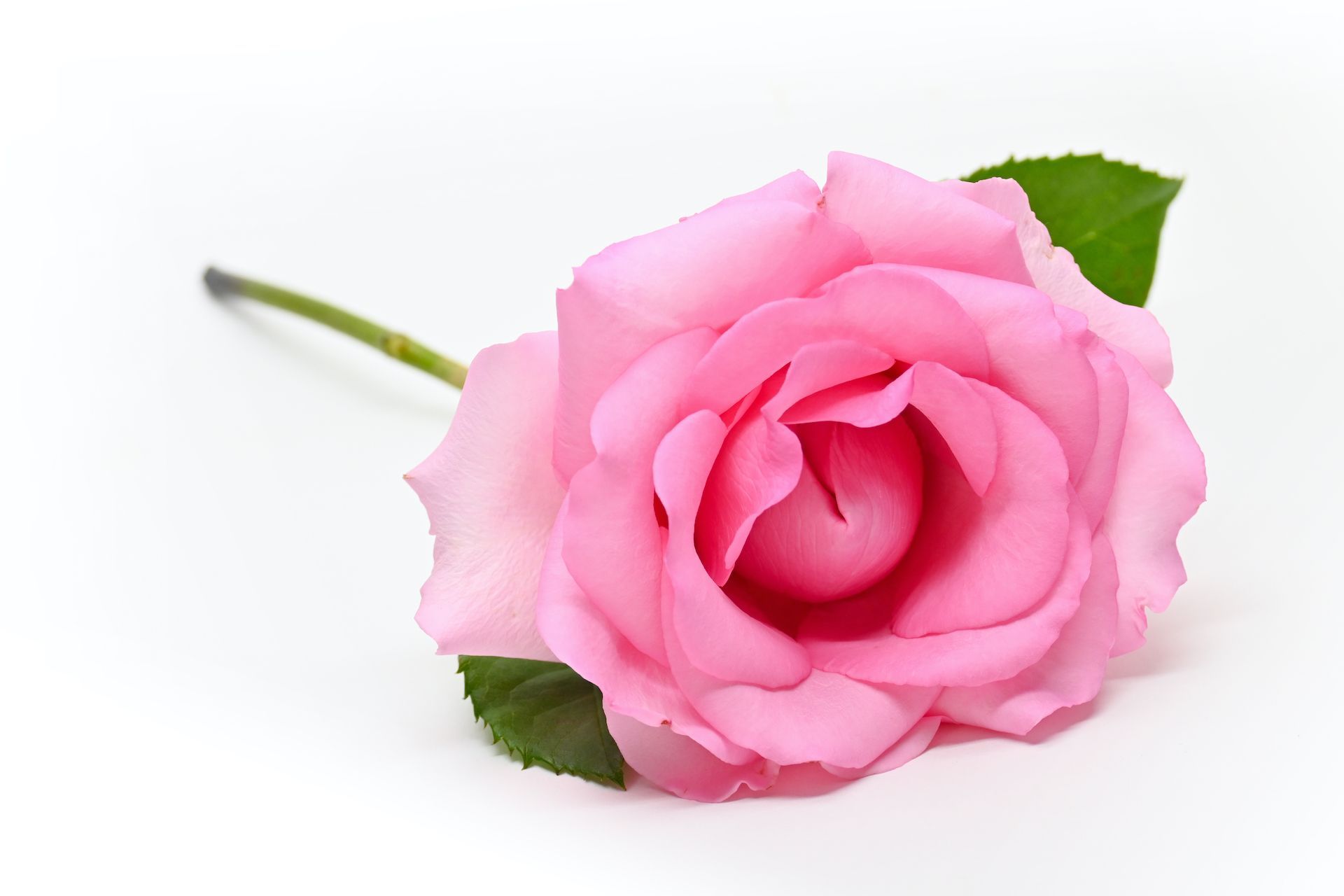 NEOLO olio di cura intima, olio vaginale, lichen scleroso, massaggio perineale, olio perineale, sollievo dai dolori mestruali, prurito, bruciore, dolore zona intima, secchezza vaginale, vagina secca