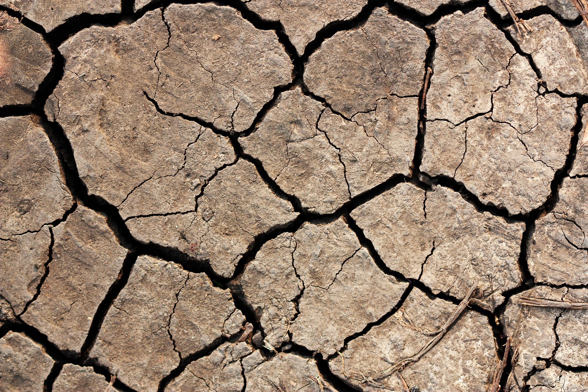 NEOLO huile intime, soin intime, sécheresse vaginale, ménopause, soulage les brûlures et les démangeaisons dans le vagin sec, atrophie vaginale, atrophie vulvo-vaginale