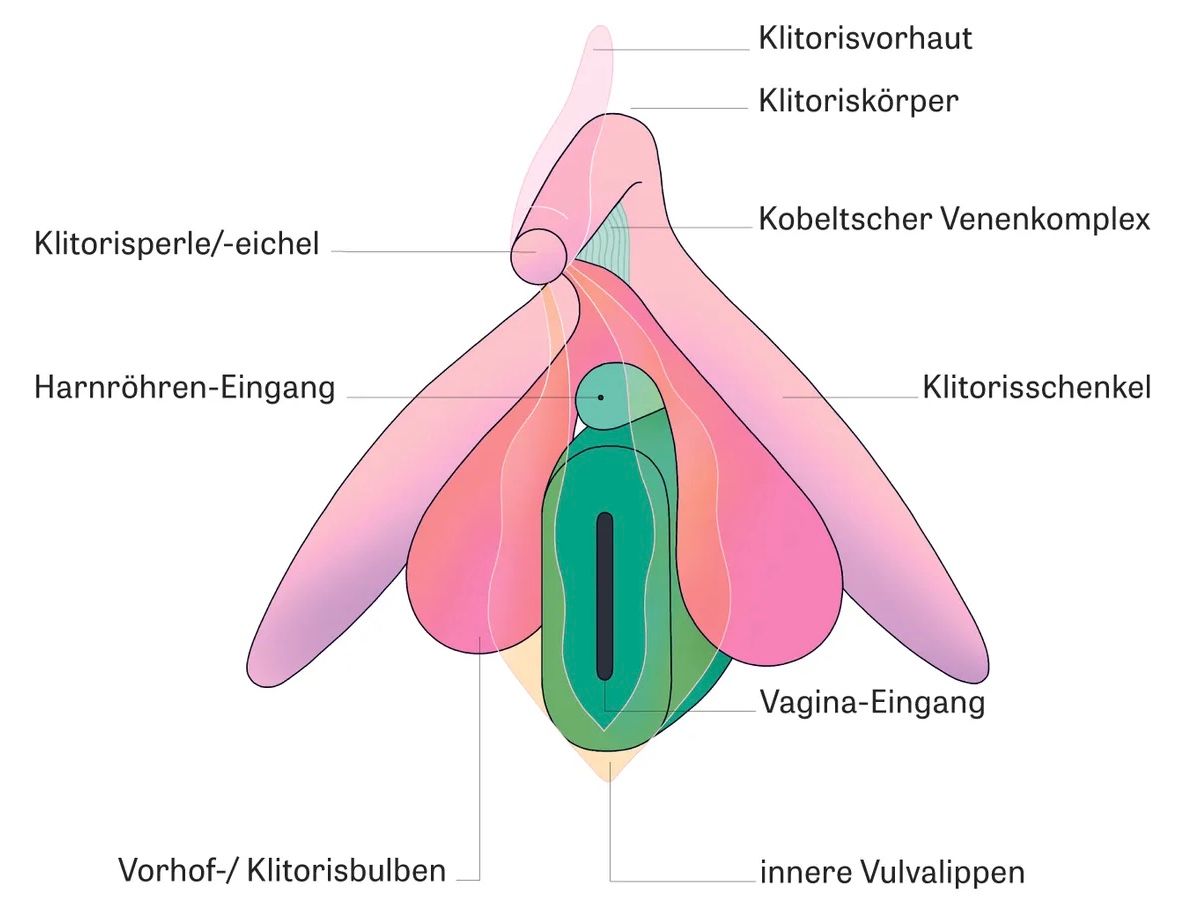 Olio di cura intima, olio vaginale, secchezza vaginale, atrofia vaginale, vagina secca, Candida, candidosi, micosi vaginale, infezioni vaginali, vaginosi gardnerella, infezioni delle vie urinarie semplici, cistite da luna di miele o vescica irritabile, prurito, bruciore, dolore zona intima, lichen scleroso, massaggio perineale, olio perineale, sollievo dai dolori mestruali