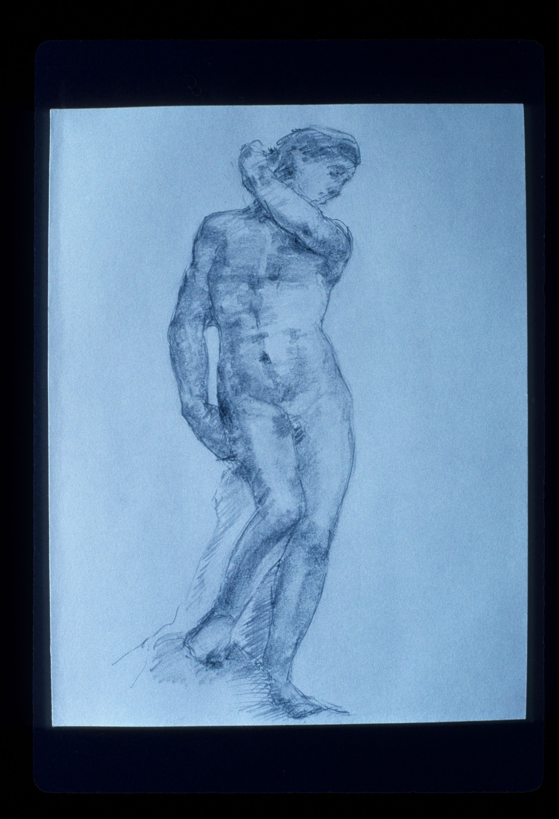 drawings from florence