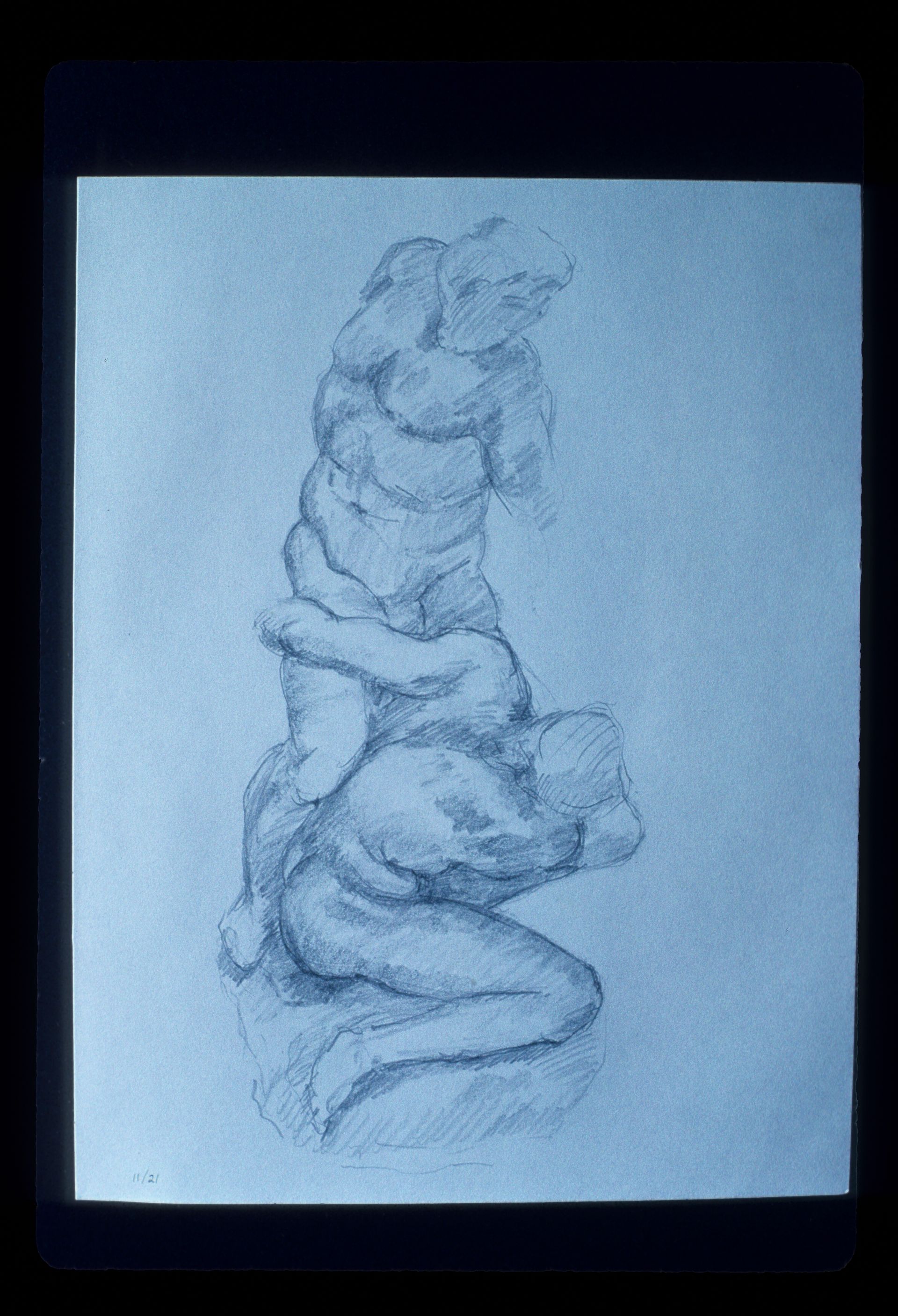 drawings from florence