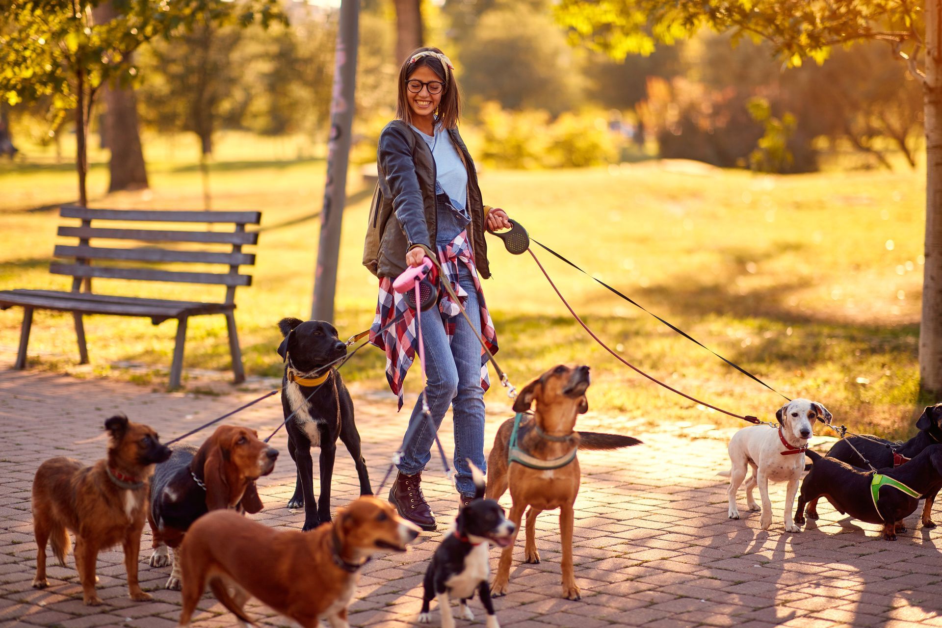 Puppy Luv dog walking service Fairfax VA