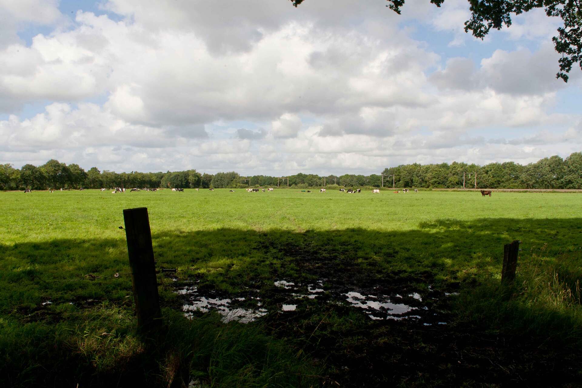 Appelo's Farm — photo 4