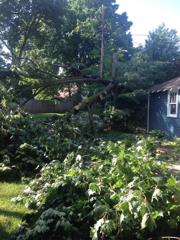 Storm Damage Tree — Lake Geneva, WI — Eagle Eye Tree Service