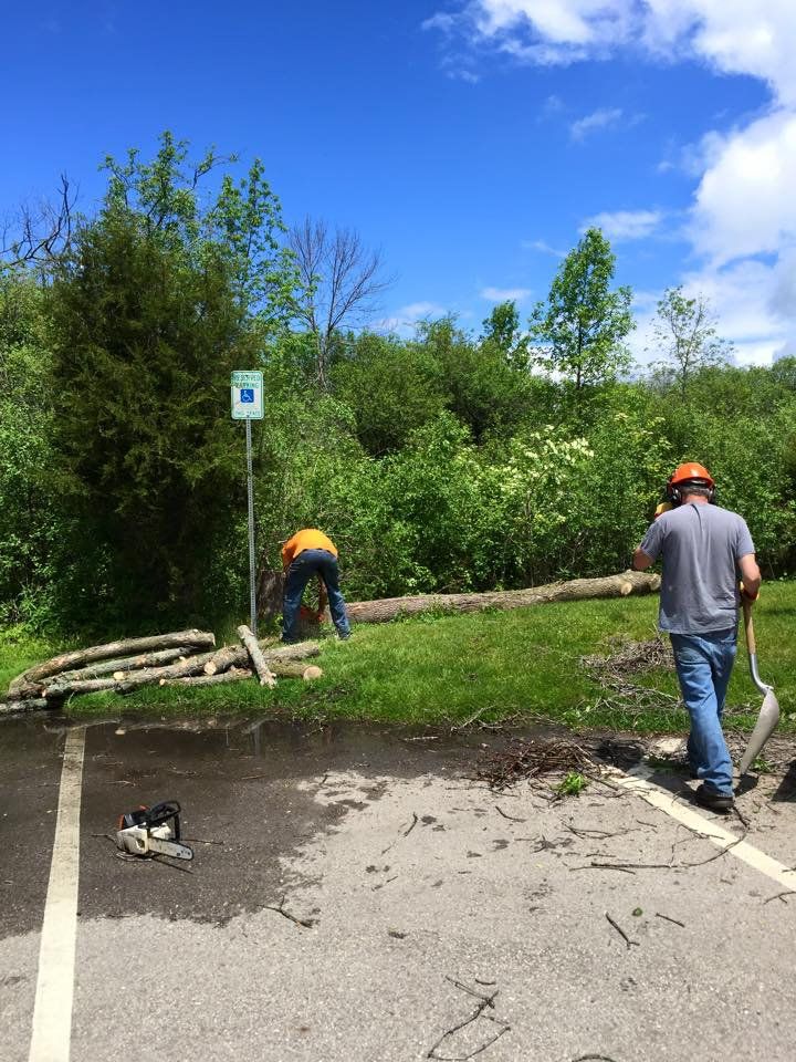 Dead Ash — Lake Geneva, WI — Eagle Eye Tree Service