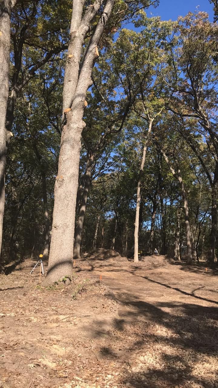 Forest — Lake Geneva, WI — Eagle Eye Tree Service