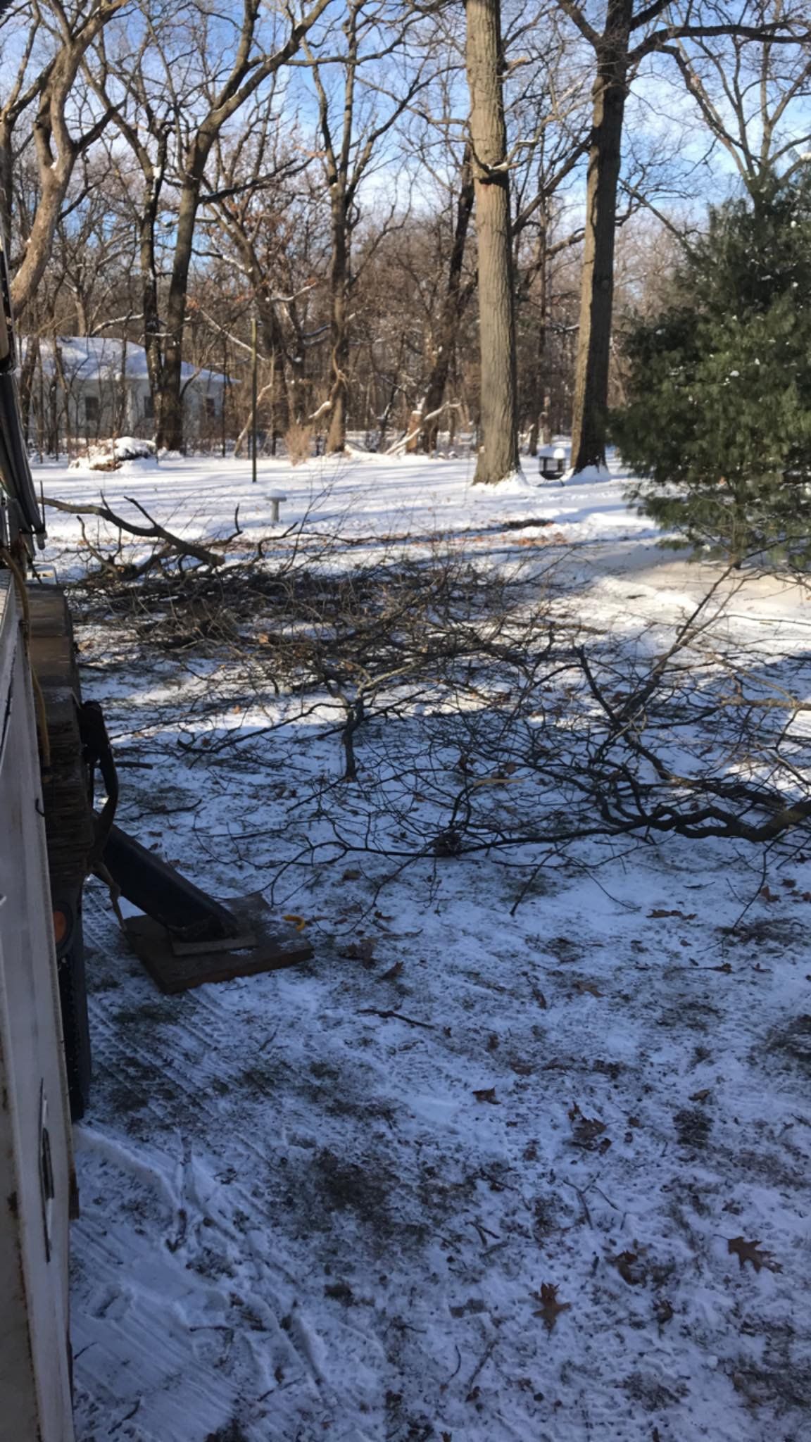 Winter Forest — Lake Geneva, WI — Eagle Eye Tree Service