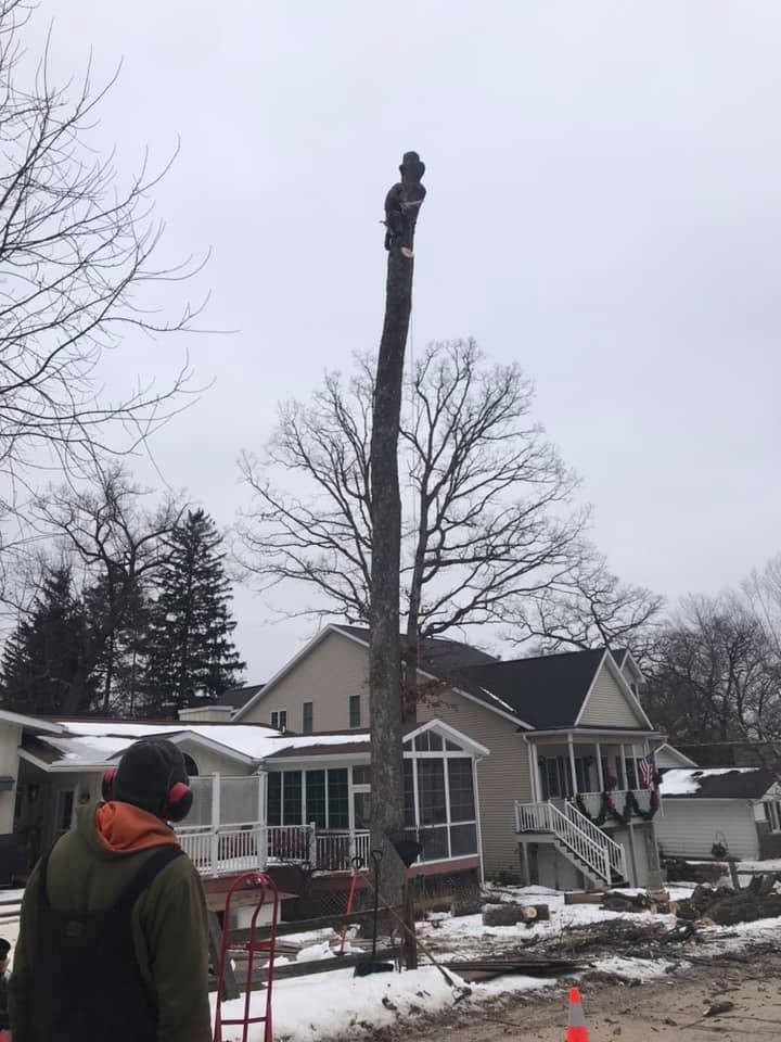 Tree Removal — Lake Geneva, WI — Eagle Eye Tree Service